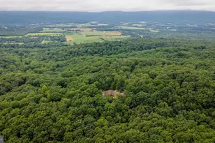 159 Park View Ln, Shenandoah, VA 22849 - Photo 48