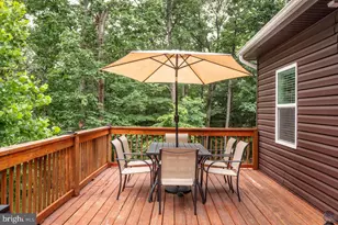 159 Park View Ln, Shenandoah, VA 22849 - Photo 62