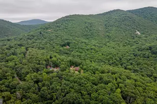 159 Park View Ln, Shenandoah, VA 22849 - Photo 44