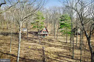 698 Valley View Rd, Rileyville, VA 22650 - Photo 52