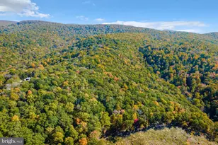 698 Valley View Rd, Rileyville, VA 22650 - Photo 60