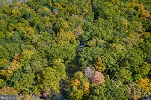 698 Valley View Rd, Rileyville, VA 22650 - Photo 64