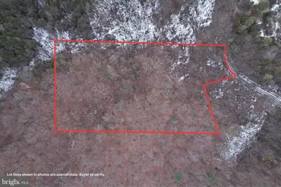 480 Beylors Ferry Road, Rileyville, VA 22650 - Photo 4