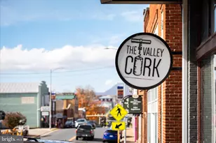 315 Gander's Dr, Luray, VA 22835 - Photo 96