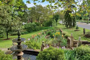 147 S Court St, Luray, VA 22835 - Photo 4