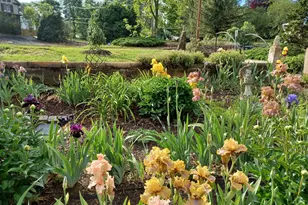 147 S Court St, Luray, VA 22835 - Photo 52