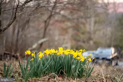 1131 Page Valley Road, Luray, VA 22835 - Photo 66