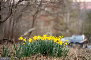 1131 Page Valley Rd, Luray, VA 22835 - Photo 66