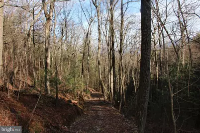 Valley Burg Road, Luray, VA 22835 - Photo 26