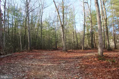 Valley Burg Road, Luray, VA 22835 - Photo 2