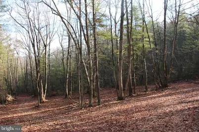 Valley Burg Road, Luray, VA 22835 - Photo 1