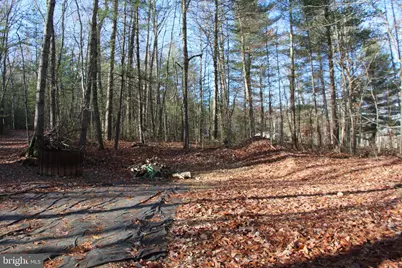 Valley Burg Road, Luray, VA 22835 - Photo 18