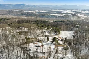 319 Lake Dr, Luray, VA 22835 - Photo 54