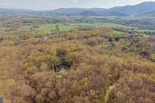 160 Gale Ln, Stanley, VA 22851 - Photo 64