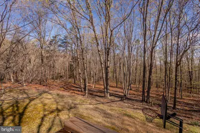 160 Gale Lane, Stanley, VA 22851 - Photo 36
