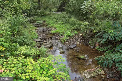 1485 Compton Hollow Road, Rileyville, VA 22650 - Photo 22