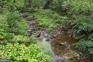 1485 Compton Hollow Rd, Rileyville, VA 22650 - Photo 22