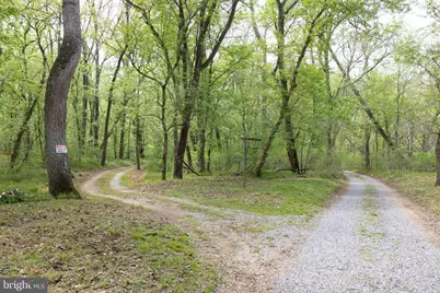 789 Mill Run Road, Shenandoah, VA 22849 - Photo 48