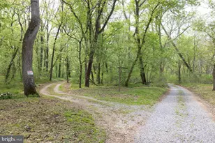 789 Mill Run Rd, Shenandoah, VA 22849 - Photo 48