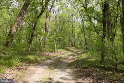 789 Mill Run Road, Shenandoah, VA 22849 - Photo 44