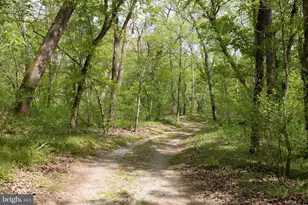 789 Mill Run Rd, Shenandoah, VA 22849 - Photo 44