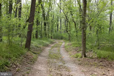 789 Mill Run Road, Shenandoah, VA 22849 - Photo 46