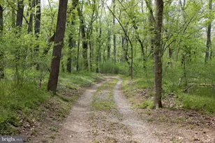 789 Mill Run Rd, Shenandoah, VA 22849 - Photo 46