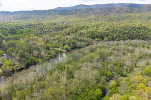 789 Mill Run Rd, Shenandoah, VA 22849 - Photo 76