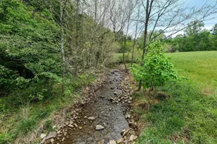 2645 Dry Run Rd, Luray, VA 22835 - Photo 4