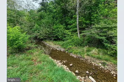 2645 Dry Run Road, Luray, VA 22835 - Photo 68