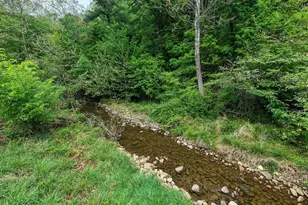 2645 Dry Run Rd, Luray, VA 22835 - Photo 68