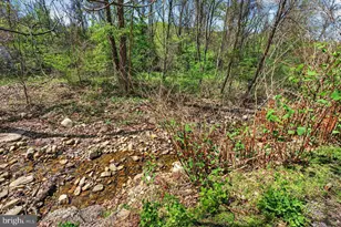 202 Lake Arrowhead Rd, Luray, VA 22835 - Photo 38