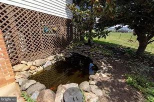 3 Cedar Dr, Luray, VA 22835 - Photo 66