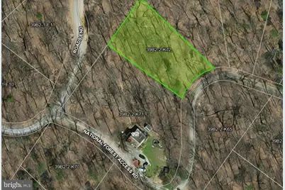 0 National Forest Access Road, Luray, VA 22835 - Photo 2