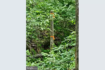 Lot 2 Beylors Ferry, Rileyville, VA 22650 - Photo 6