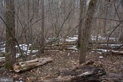 Lot 2 Beylors Ferry, Rileyville, VA 22650 - Photo 22