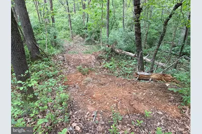 Lot 2 Beylors Ferry, Rileyville, VA 22650 - Photo 8