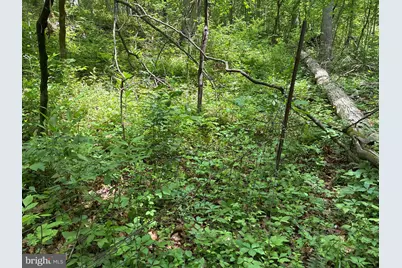 Lot 2 Beylors Ferry, Rileyville, VA 22650 - Photo 2
