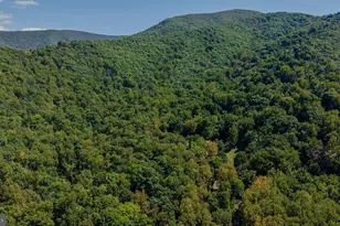 279 Helms Rd, Stanley, VA 22851 - Photo 70