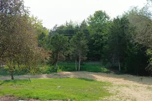 130 Esthers Lookout, Shenandoah, VA 22849 - Photo 46