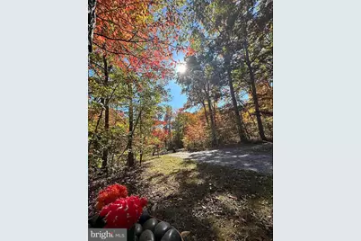 432 Cardinal Drive, Luray, VA 22835 - Photo 30