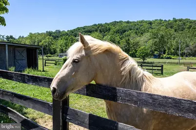 3259 Ida Road, Luray, VA 22835 - Photo 132