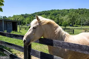 3259 Ida Rd, Luray, VA 22835 - Photo 132
