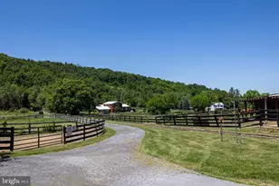 3259 Ida Rd, Luray, VA 22835 - Photo 130