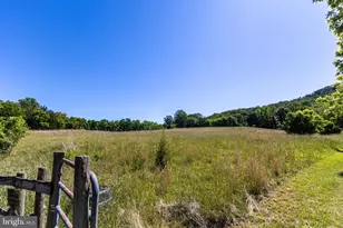3259 Ida Rd, Luray, VA 22835 - Photo 124
