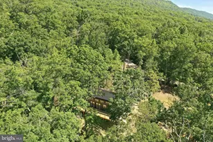 1307 Cardinal Dr, Luray, VA 22835 - Photo 12