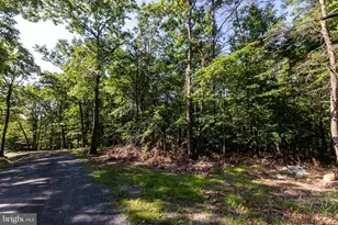 Panorama View Dr, Stanley, VA 22851 - Photo 1
