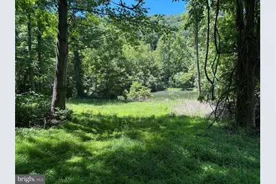 Jordan Hollow Rd, Stanley, VA 22851 - Photo 10