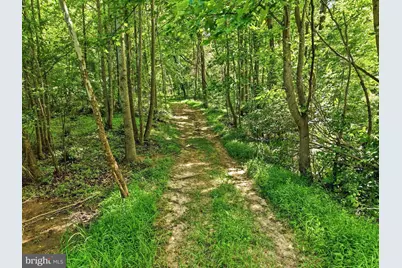 Jordan Hollow Rd, Stanley, VA 22851 - Photo 6