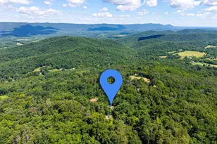 707 Overlook Dr, Rileyville, VA 22650 - Photo 84